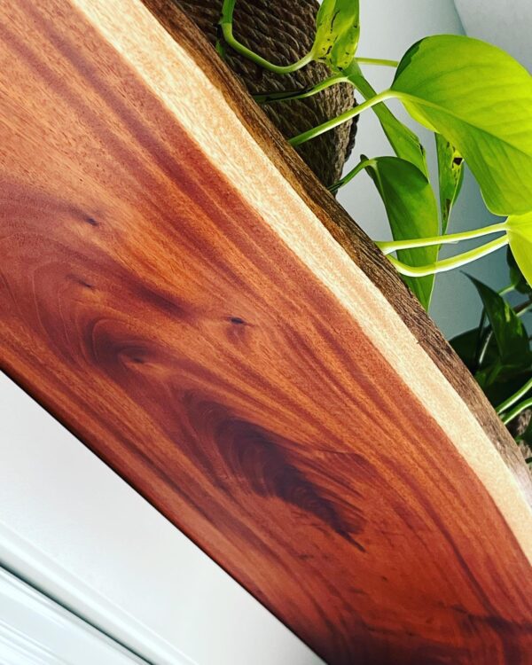 Costa Rican Mahogany Shelf - Image 5